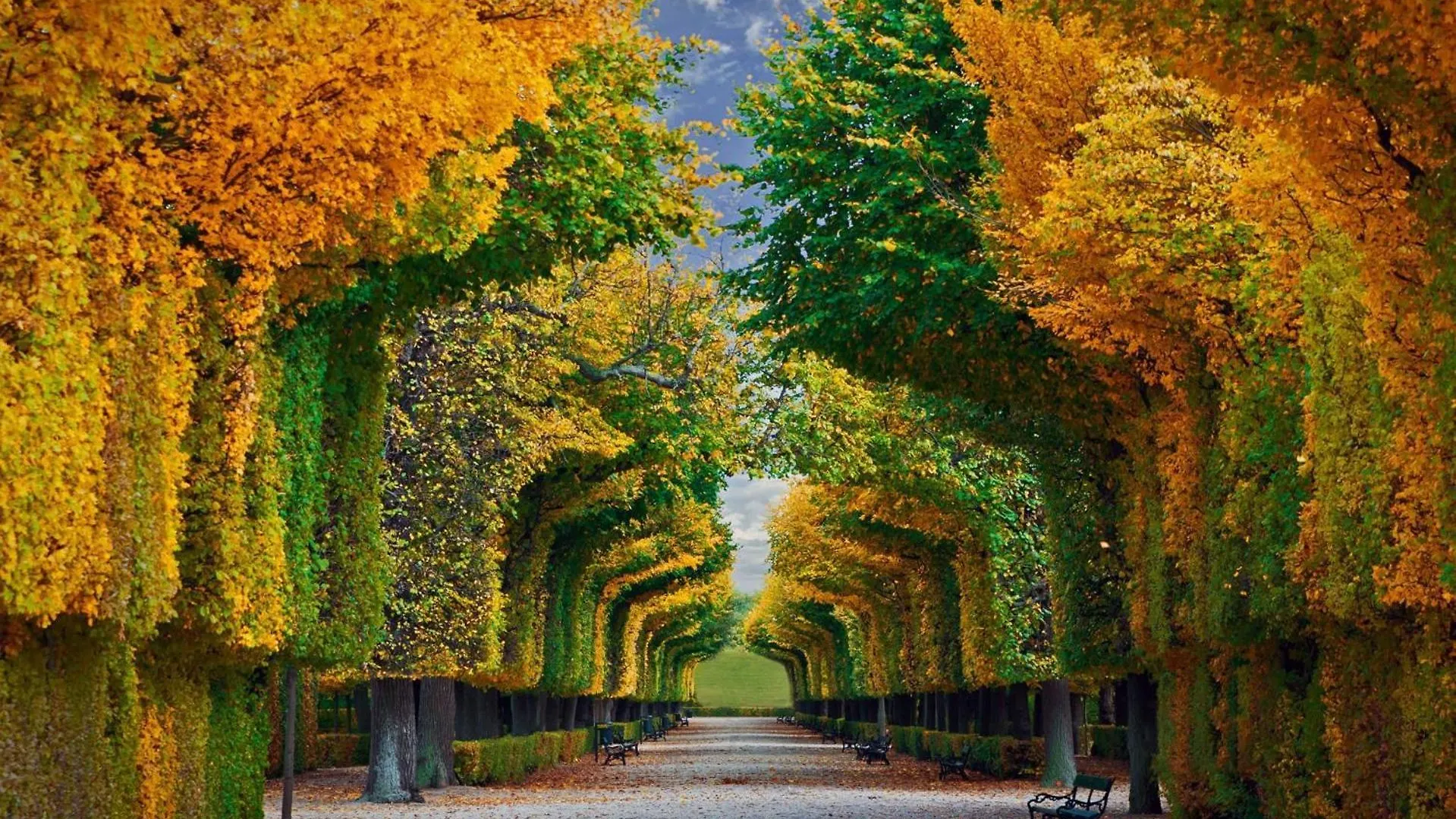 Regal Retreat Intimate Elegance Near Schoenbrunn Palace Vienna Austria