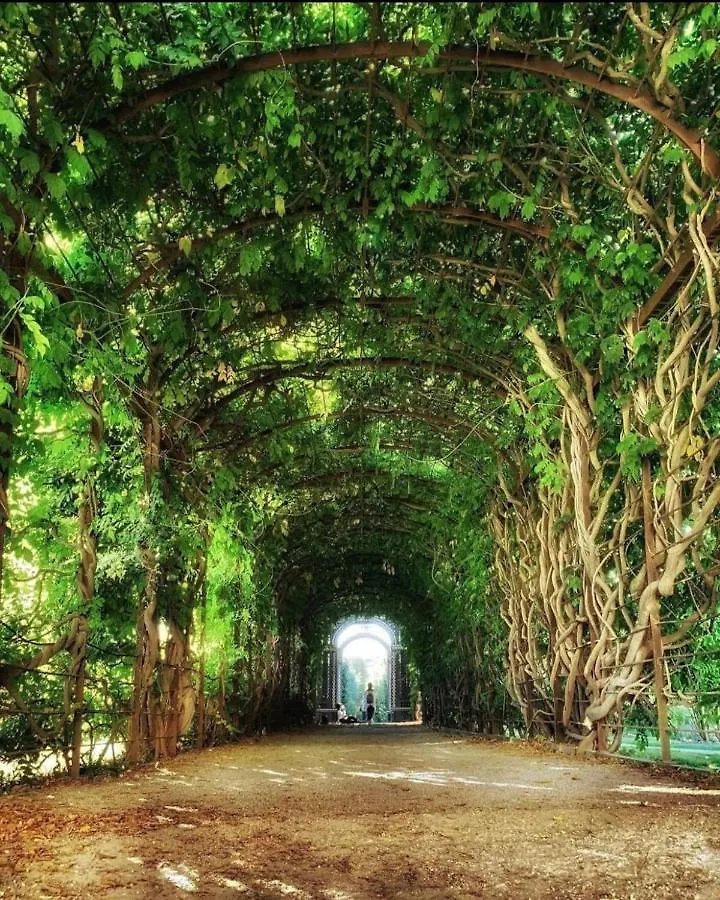 Apartmán 10 Min Walk To Schonbrunn L Deluxe Suite Vídeň